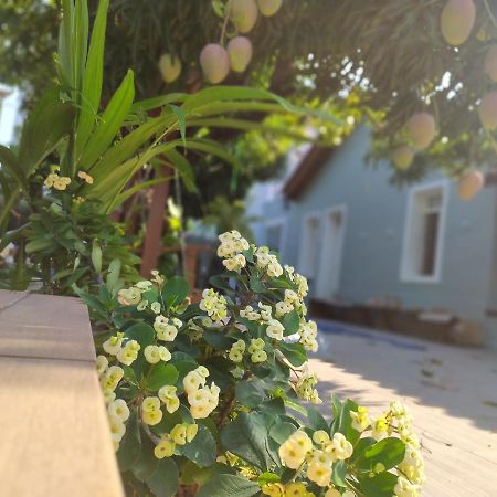 Hotel Aveiro Parnaíba المظهر الخارجي الصورة